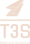 T3S